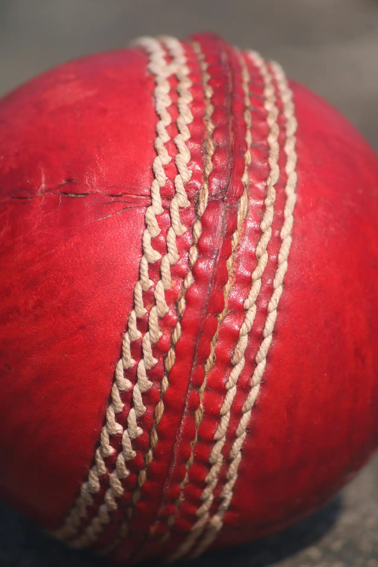 Cricket